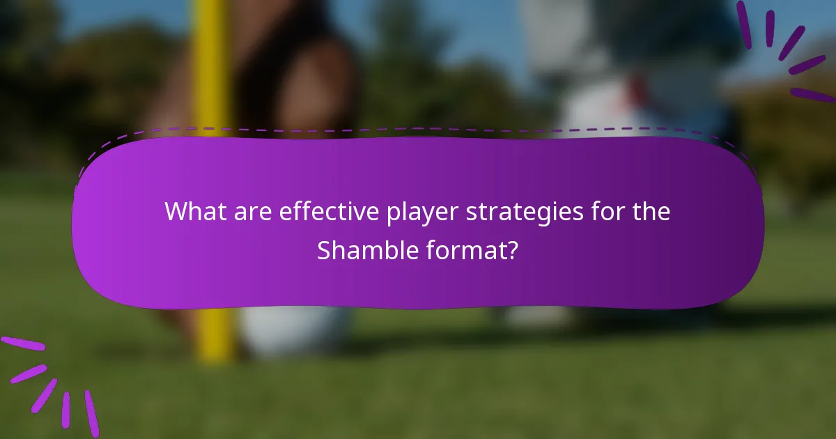What are effective player strategies for the Shamble format?